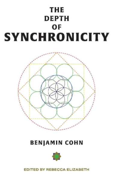 Marissa's Books & Gifts, LLC 9781543958997 The Depth of Synchronicity: Memoirs of an Alchemist