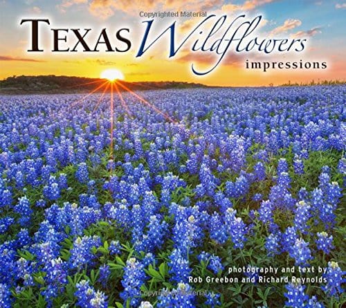 Marissa's Books & Gifts, LLC 9781560376750 Texas Wildflowers Impressions