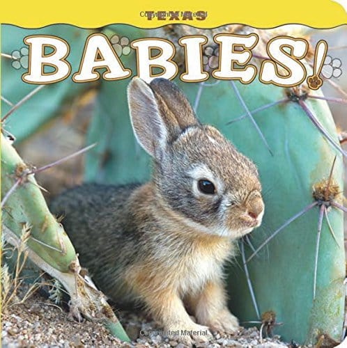 Marissa's Books & Gifts, LLC 9781560376811 Texas Babies!