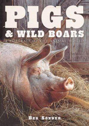 Marissa's Books & Gifts, LLC 9781577170815 Pigs & Wild Boars: A Portrait Of The Animal World