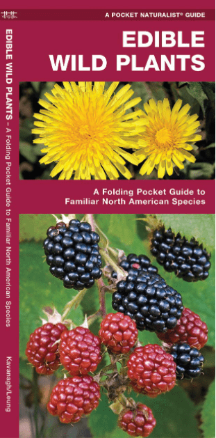 Marissa's Books & Gifts, LLC 9781583551271 Edible Wild Plants: A Folding Pocket Guide to Familiar North American Species