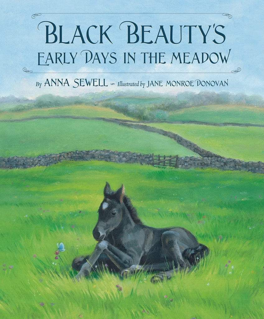 Marissa's Books & Gifts, LLC 9781585362967 Black Beauty's Early Days in the Meadow
