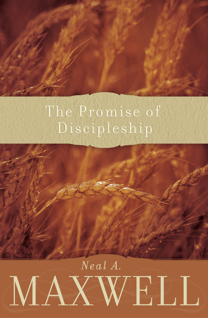 Marissa's Books & Gifts, LLC 9781606416457 The Promise of Discipleship