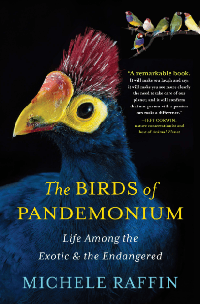 Marissa's Books & Gifts, LLC 9781616201364 The Birds of Pandemonium: Life Among the Exotic & the Endangered