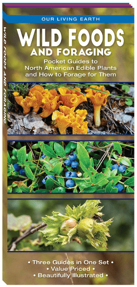 Marissa's Books & Gifts, LLC 9781620053379 Wild Foods and Foraging: Pocket Guides to North American Edible Plants and How to Forage for Them (Pamphlet)