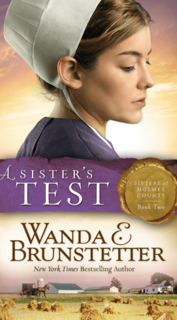 Marissa's Books & Gifts, LLC 9781620291788 A Sister's Test: Sisters of Holmes County Series (Book 2)