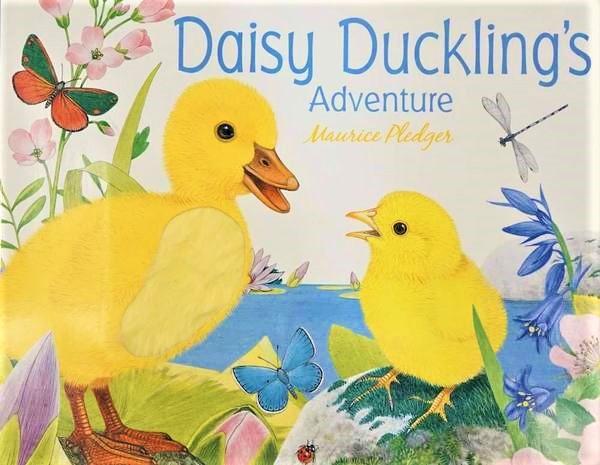 Marissa's Books & Gifts, LLC 9781626860155 Daisy Duckling's Adventure
