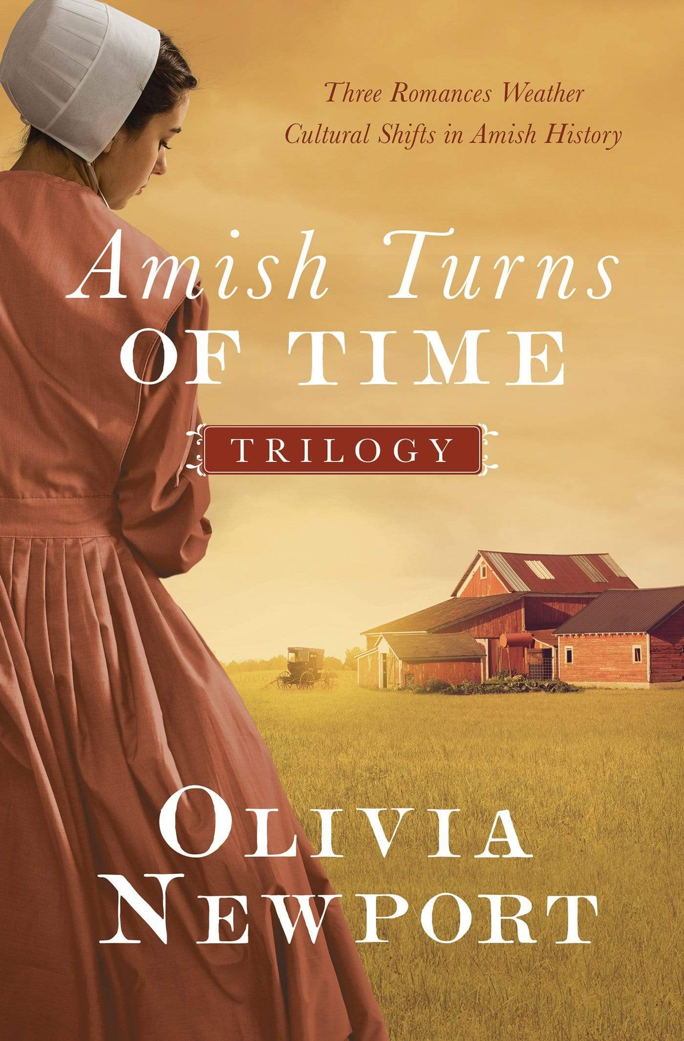 Marissa's Books & Gifts, LLC 9781634099455 The Amish Turns of Time Trilogy: Three Romances Weather Cultural Shifts in Amish History