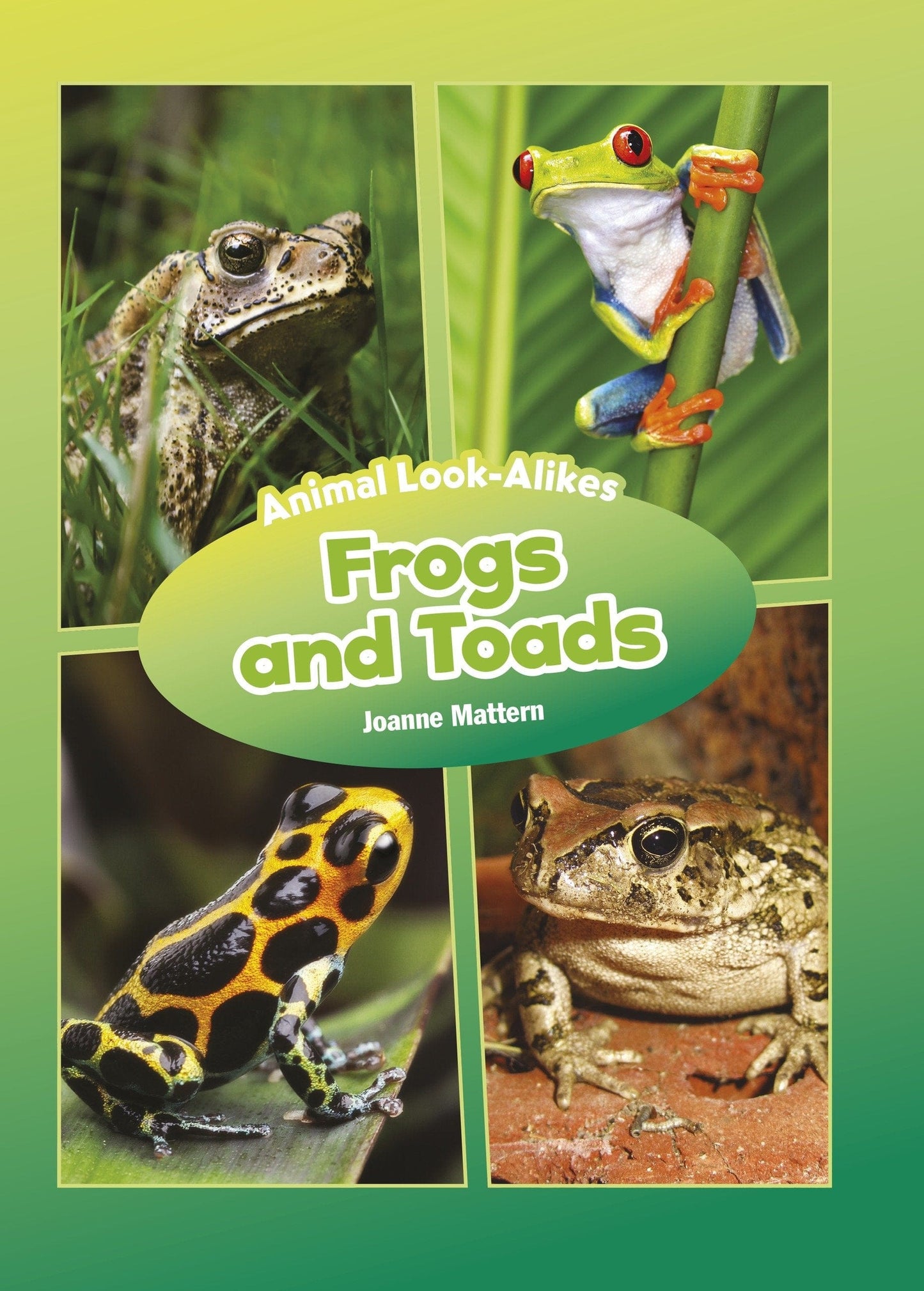 Marissa's Books & Gifts, LLC 9781634402118 Frogs and Toads: Animal Look-Alikes