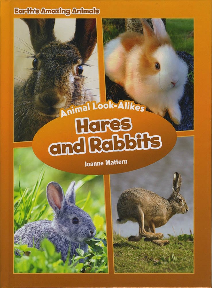 Marissa's Books & Gifts, LLC 9781634402125 Hares and Rabbits: Animal Look-Alikes