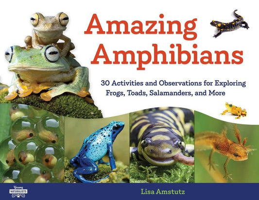 Marissa's Books & Gifts, LLC 9781641600729 Amazing Amphibians: 30 Activities and Observations for Exploring Frogs, Toads, Salamanders, and More
