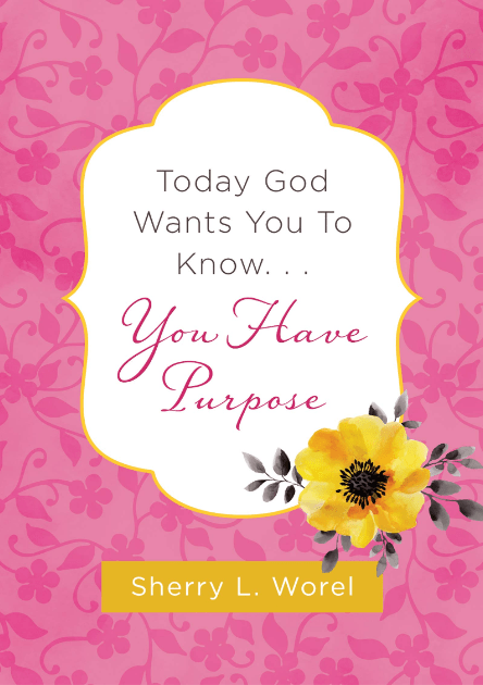 Marissa's Books & Gifts, LLC 9781643522647 Today God Wants You to Know. . .You Have Purpose