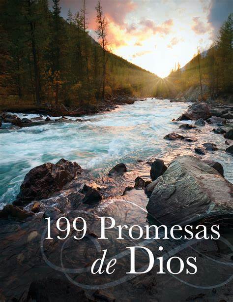 Marissa's Books & Gifts, LLC 9781643523002 199 Promesas de Dios (Spanish Edition)