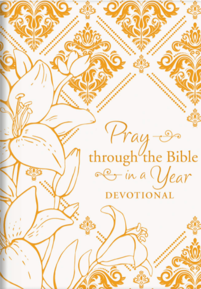 Marissa's Books & Gifts, LLC 9781643523309 Pray through the Bible in a Year Devotional (Imitation Leather)