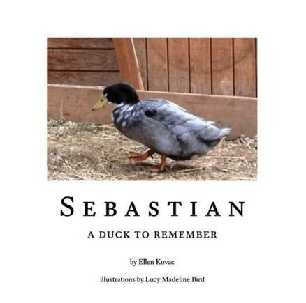 Marissa's Books & Gifts, LLC 9781666226171 Sebastian: A Duck to Remember