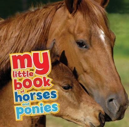 Marissa's Books & Gifts, LLC 9781682973295 My Little Book of Horses and Ponies