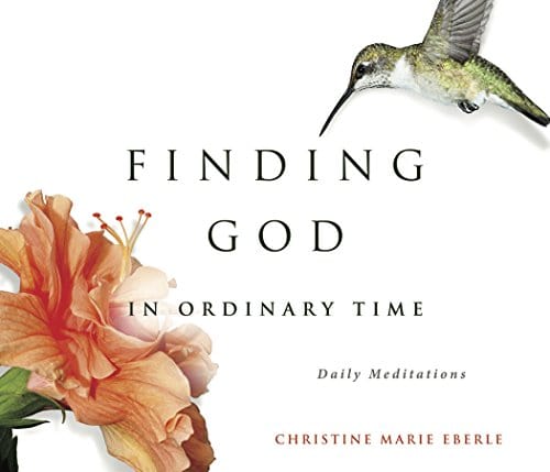 Marissa's Books & Gifts, LLC 9781732081536 Finding God in Ordinary Time