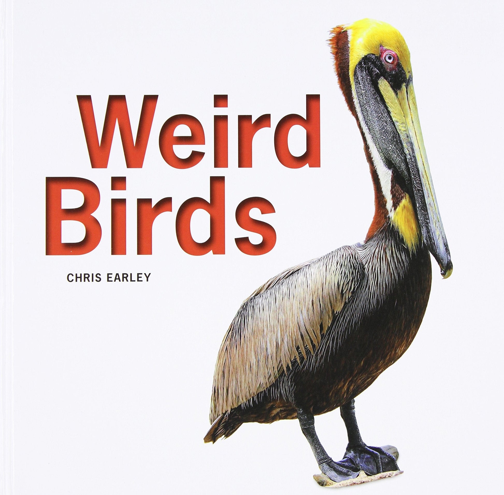 Marissa's Books & Gifts, LLC 9781770854413 Weird Birds