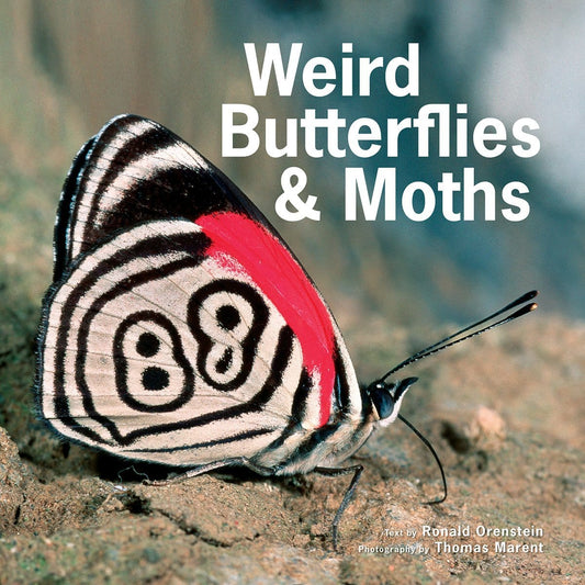 Marissa's Books & Gifts, LLC 9781770858152 Weird Butterflies and Moths