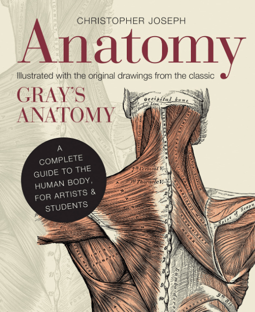 Marissa's Books & Gifts, LLC 9781782401278 Anatomy: A Complete Guide to the Human Body, for Artists & Students