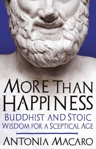 Marissa's Books & Gifts, LLC 9781785784460 More than Happiness: Buddhist and Stoic Wisdom for a Sceptical Age