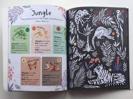 Marissa's Books & Gifts, LLC 9781786031631 Fuzzy Animals: Touch and Feel Coloring In