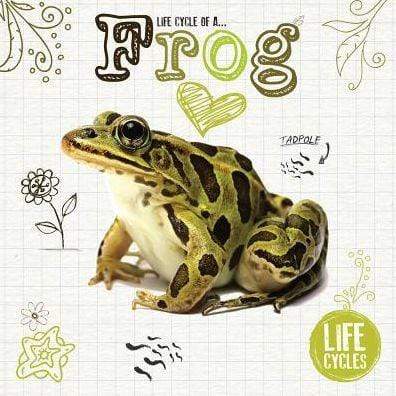 Marissa's Books & Gifts, LLC 9781786376473 Life Cycle of a Frog (Life Cycles)