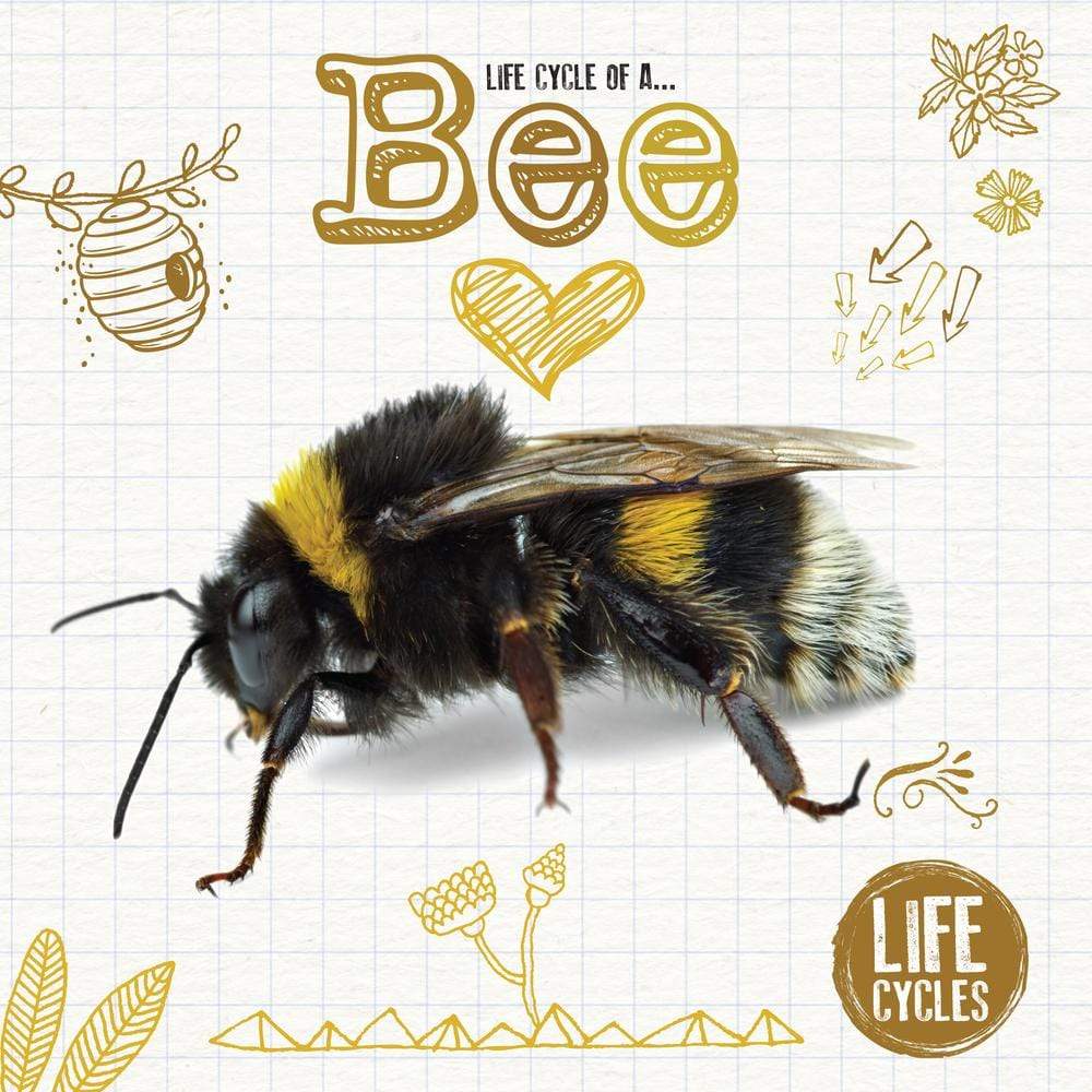 Marissa's Books & Gifts, LLC 9781786376480 Life Cycle of a Bee (Life Cycles)