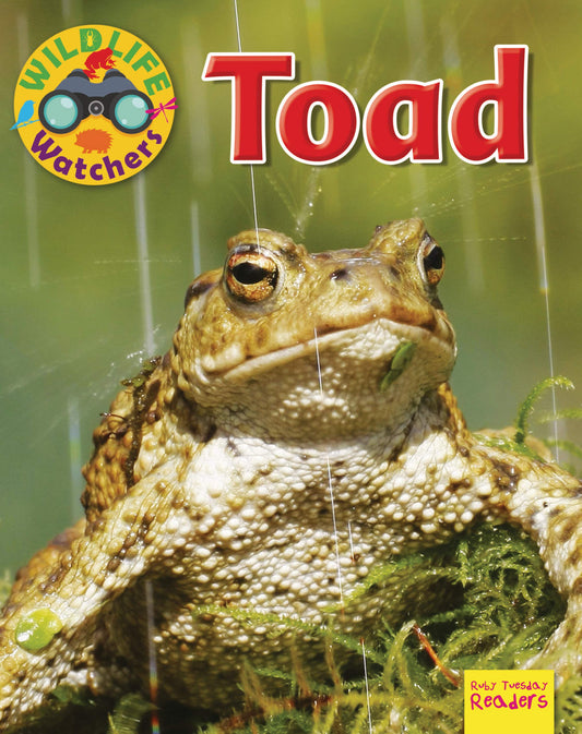 Marissa's Books & Gifts, LLC 9781788560627 Toad: Wildlife Watchers