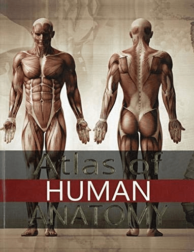 Marissa's Books & Gifts, LLC 9781788825054 Atlas of Human Anatomy