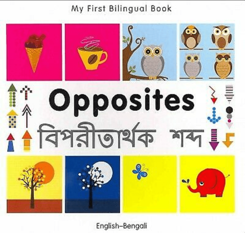 Marissa's Books & Gifts, LLC 9781840597332 My First Bilingual Book: Opposites (English–Bengali)