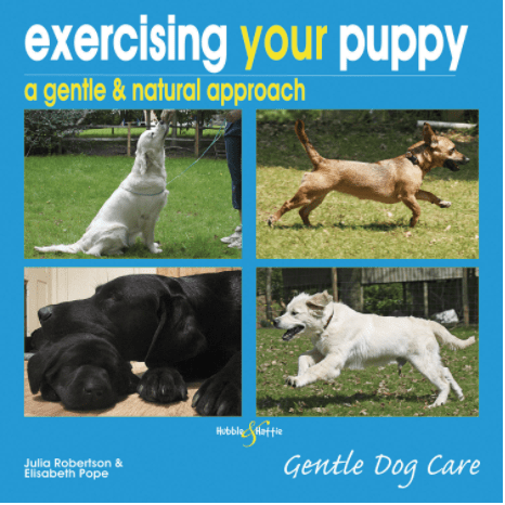 Marissa's Books & Gifts, LLC 9781845843571 Exercising Your Puppy
