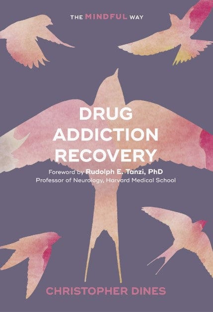 Marissa's Books & Gifts, LLC 9781847094940 Drug Addiction Recovery: The Mindful Way