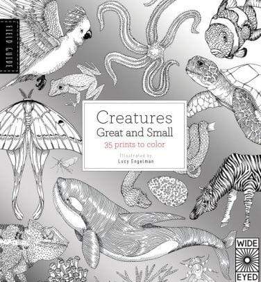 Field Guide: Creatures Great and Small - Marissa's Books