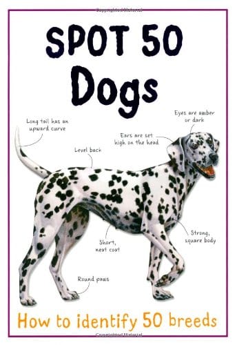 Marissa's Books & Gifts, LLC 9781848106000 Spot 50 Dogs: How to Identify 50 Breeds