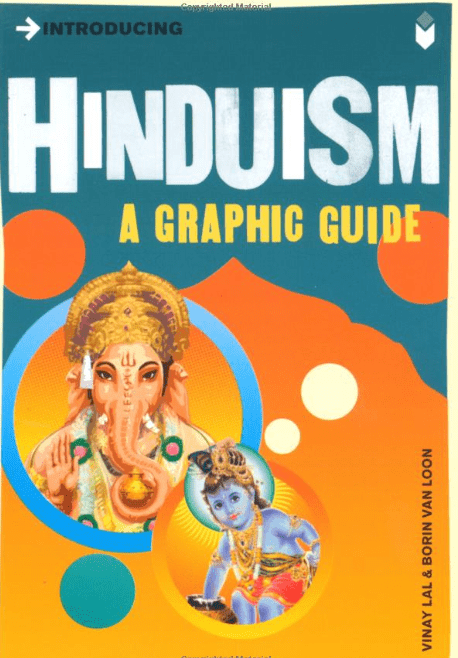 Marissa's Books & Gifts, LLC 9781848311145 Introducing Hinduism: A Graphic Guide
