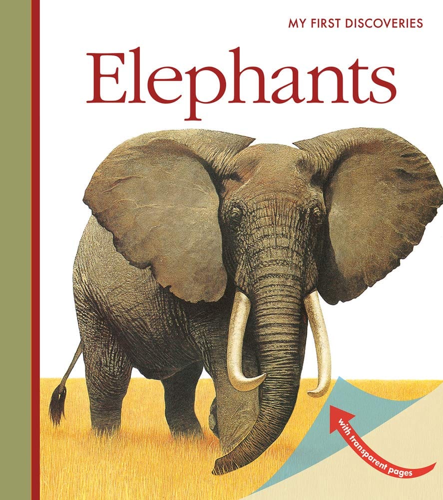 Marissa's Books & Gifts, LLC 9781851034734 Elephants: My First Discoveries