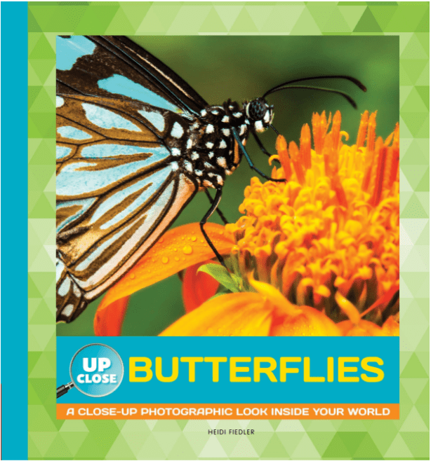 Marissa's Books & Gifts, LLC 9781942875376 Butterflies: A Close-Up Photographic Look Inside Your World
