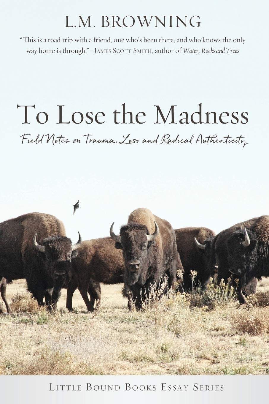 Marissa's Books & Gifts, LLC 9781947003903 To Lose the Madness: Field Notes on Trauma, Loss and Radical Authenticity (Little Bound Books Essay)