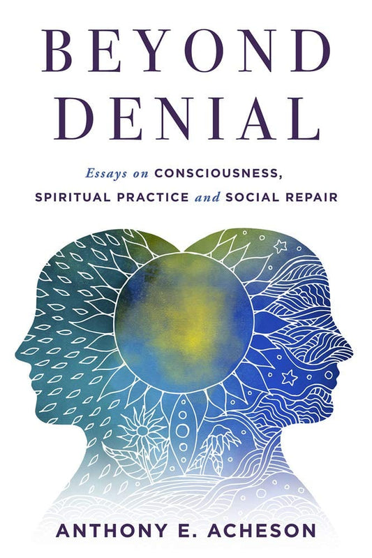 Marissa's Books & Gifts, LLC 9781950584666 Beyond Denial: Essays on Consciousness, Spiritual Practice and Social Repair