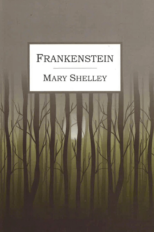 Marissa's Books & Gifts, LLC 9789386869272 Frankenstein