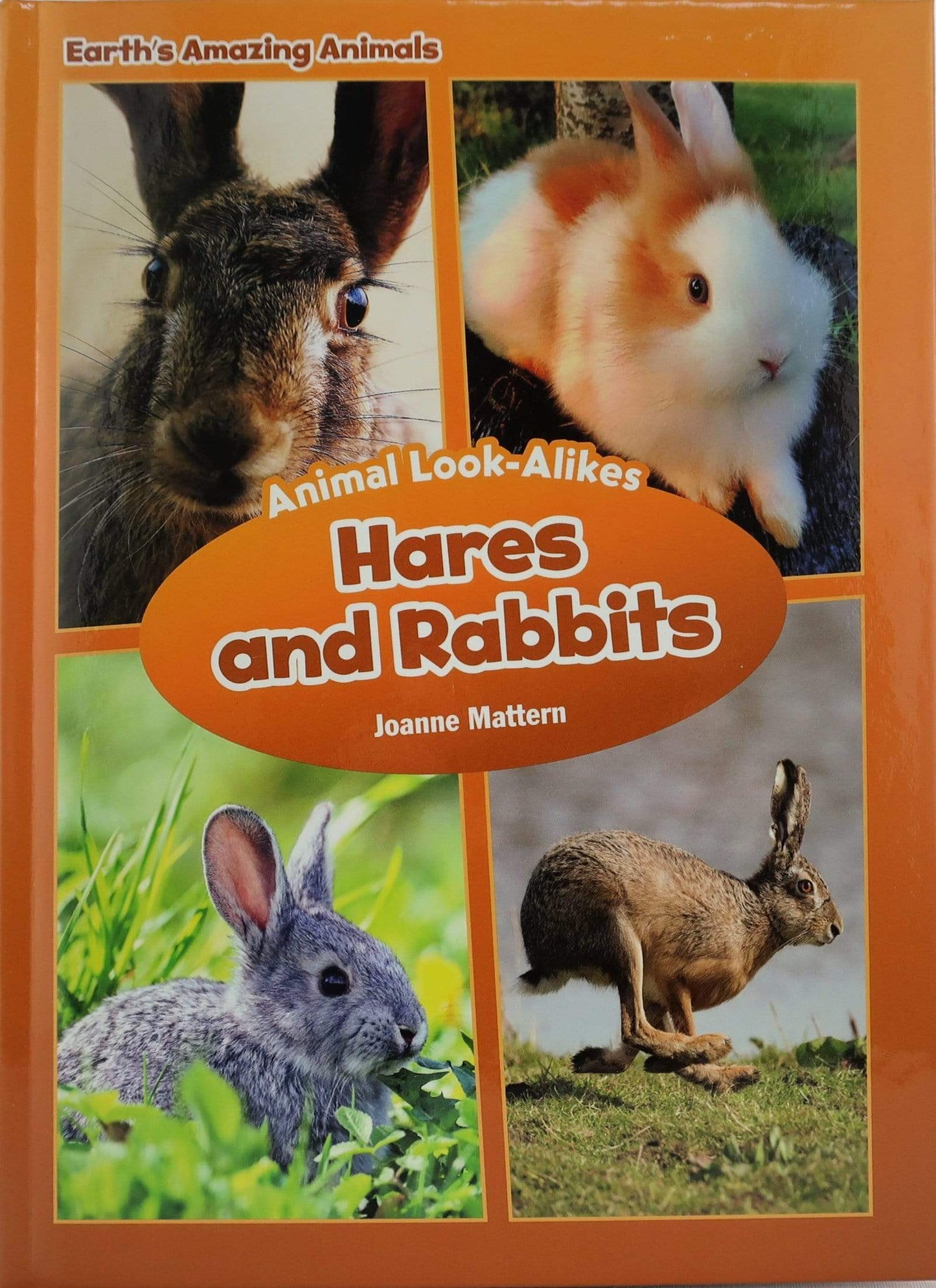 Animal Look-Alikes (3 Book Set)