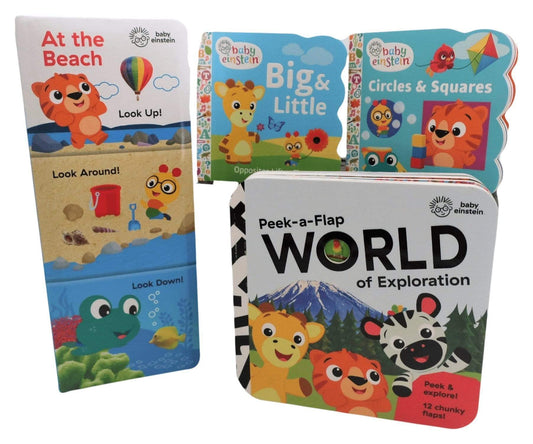 Baby Einstein Mini Learning Library (4 Books)