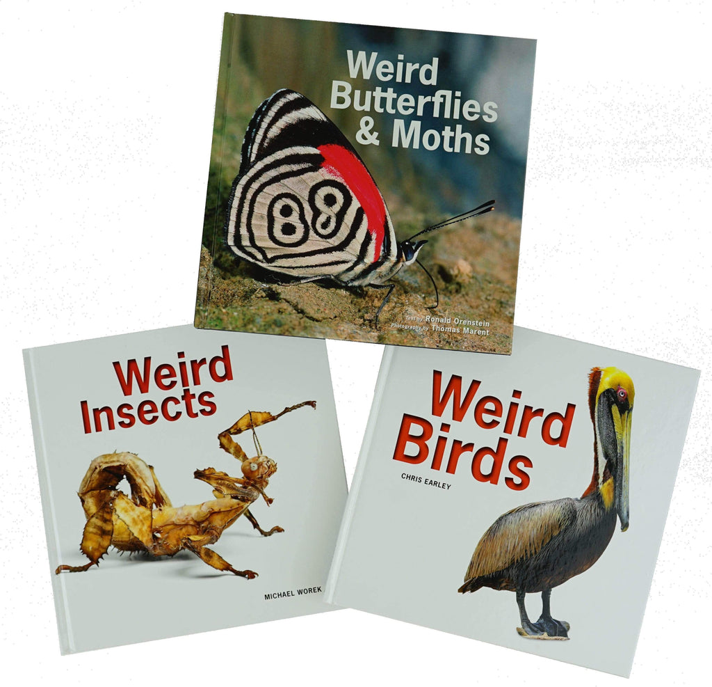 Marissa's Books & Gifts, LLC Weird Birds, Insects, and Butterflies & Moths - 3 Book Set (Weird Birds, Weird Insects, and Weird Butterflies and Moths)